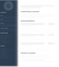 Professional cv template