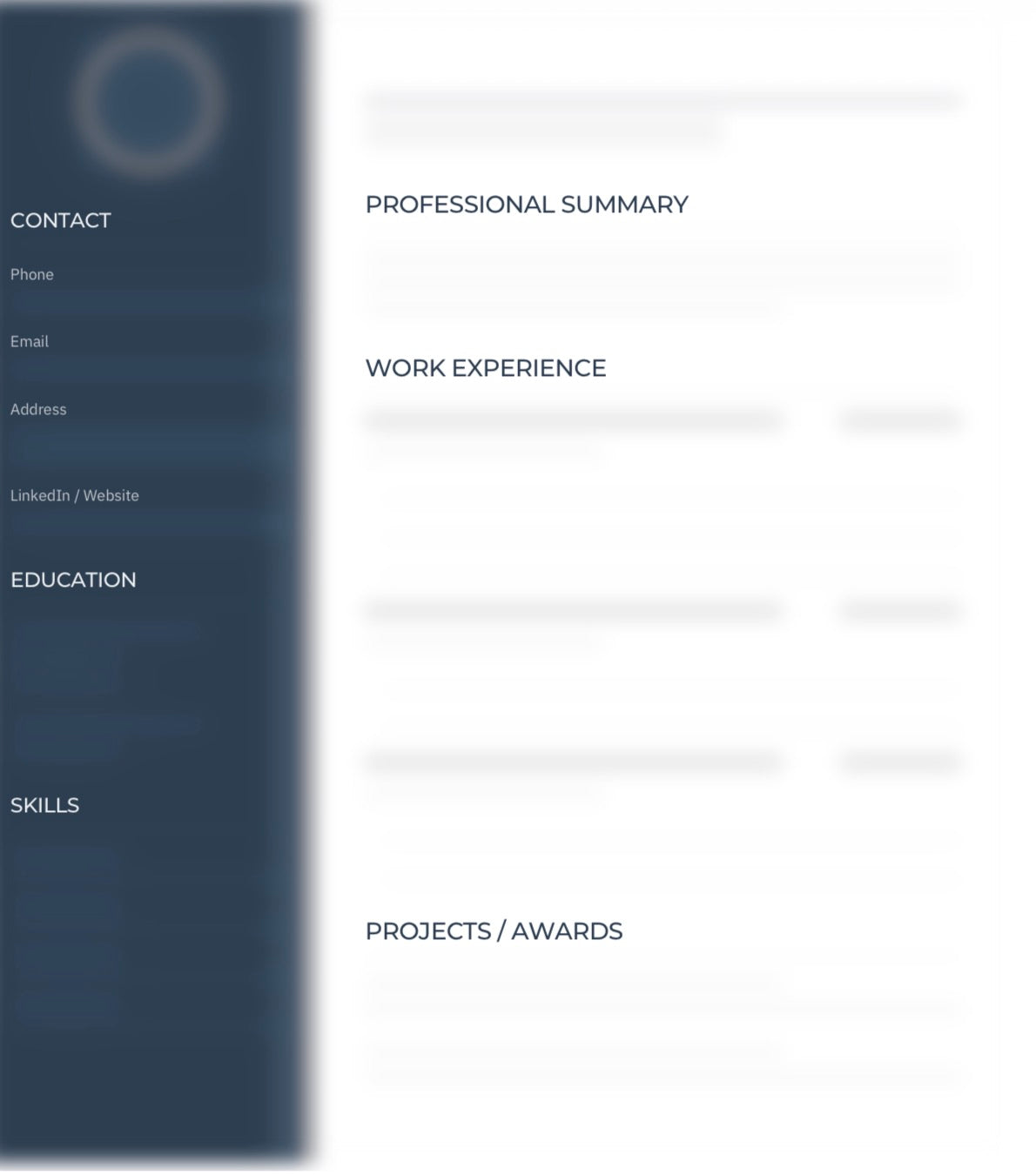 Professional cv template